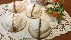 Spagnolette marsalesi